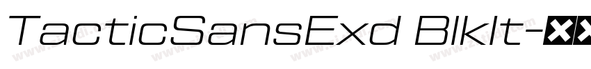 TacticSansExd BlkIt字体转换
